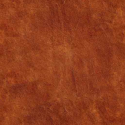 2022 Titus County Fair Mount Pleasant, TX